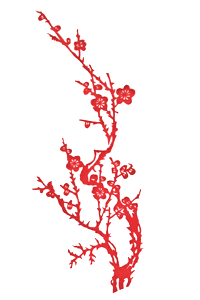 民间剪纸——花花世界